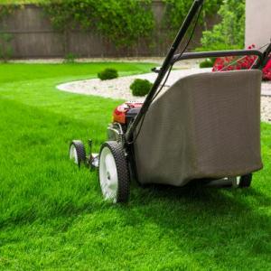 Fort Collins Lawn Mowing